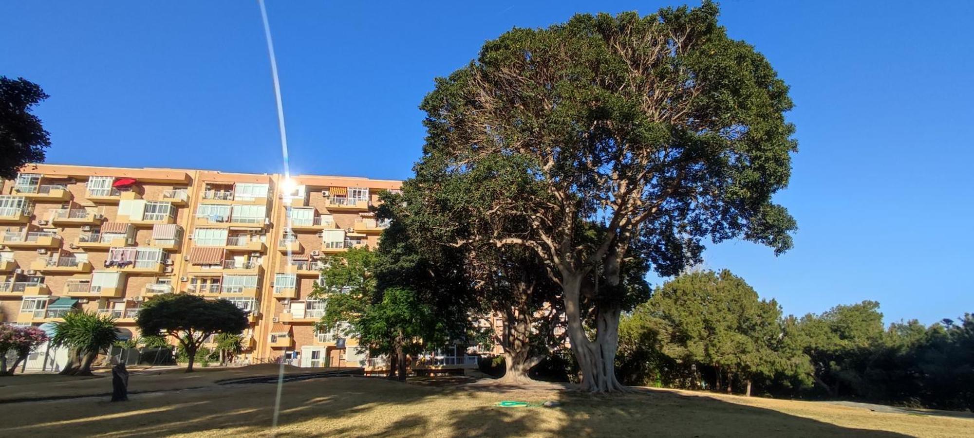 Apartamento Aguila, Arroyo De La Miel, Benalmadena Benalmádena Exterior foto